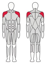 Дельта машина Fitex Pro FTX-FB05