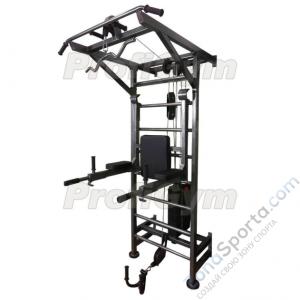 Многофункциональный тренажёрный комплекс ProfiGym на базе шведской стенки
